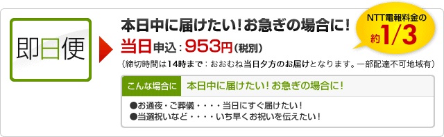 早割電報　即日便｜本日中に届けたい！お急ぎの場合に！｜NTT電報料金の約3分の1
						当日申込：953円（税込1,001円）（締切時間は14時まで：おおむね当日夕方のお届けとなります。一部配達不可地域有）
						こんな場合に｜本日中に届けたい！お急ぎの場合に！
						●お通夜・ご葬儀…当日にすぐ届けたい！
						●当選祝いなど…いち早くお祝いを伝えたい！